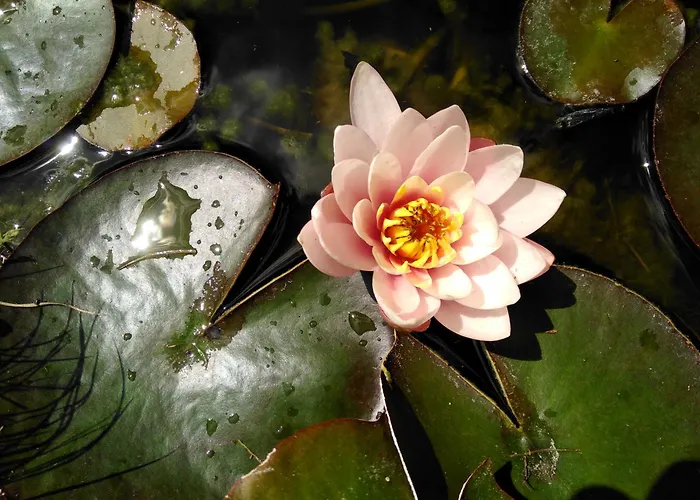 Haus Kartoner Casa de hóspedes