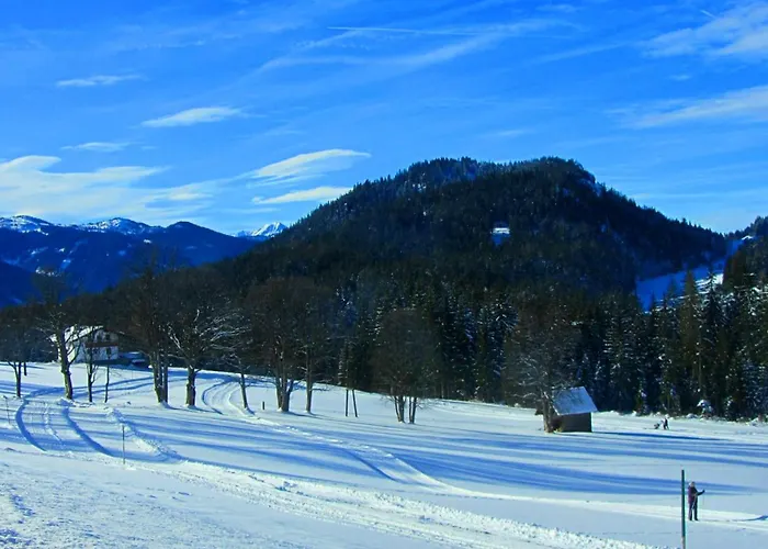 Haus Kartoner 3* Шладминг